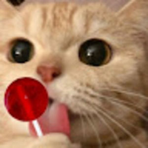 Meet your Posher, Elvin